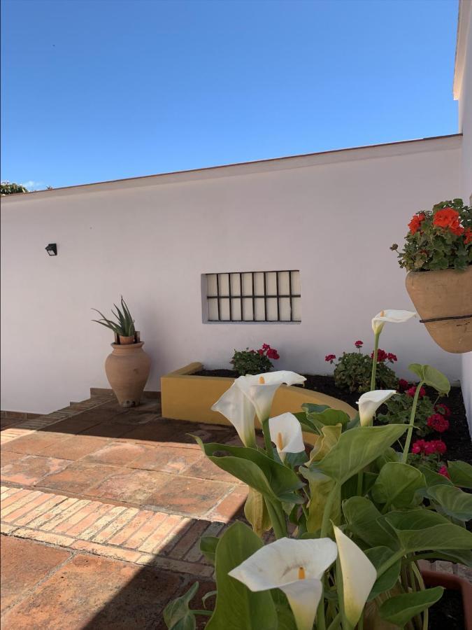 Encantador Apartamento-Centrico-Con Amplio Jardin 托雷莫利诺斯 外观 照片
